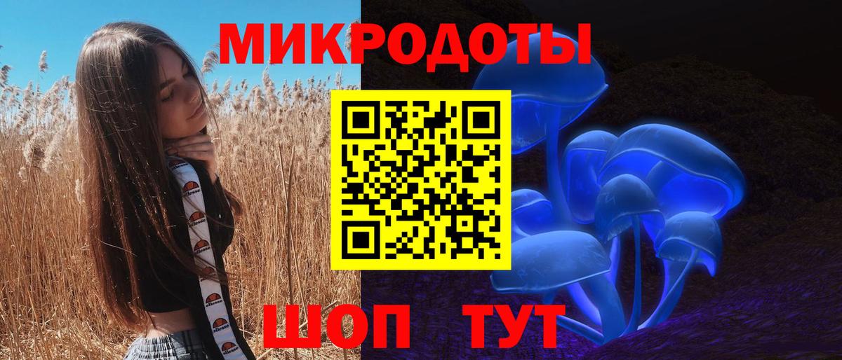 Воронеж  Галлюциногенные грибы Psilocybine cubensis  Вход с VPN 